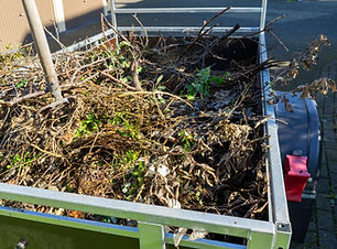 Garden waste on a trailer.jpg