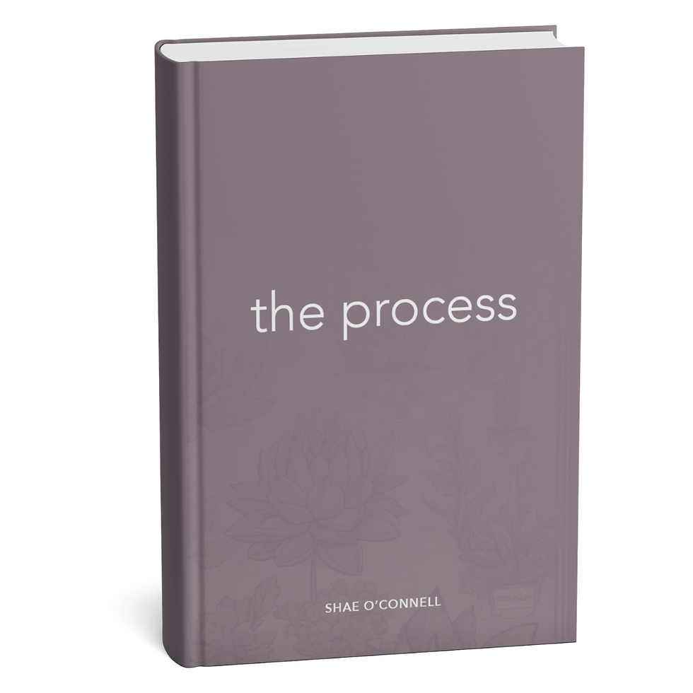 the process mockup.png