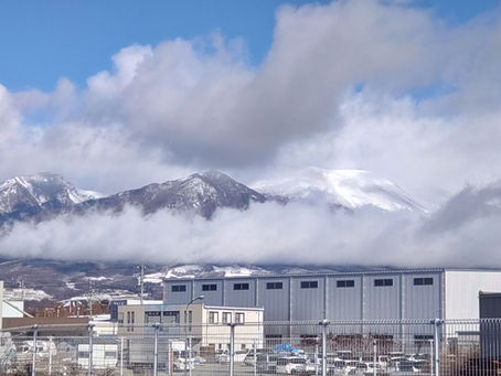 降雪が始まりました