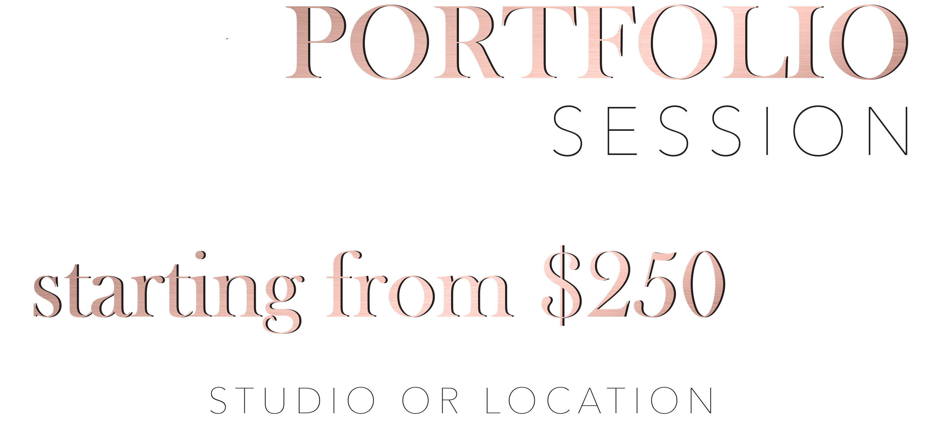 Portfolio.gif