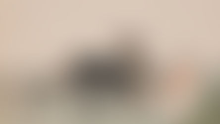 清任熊繪伯樂相馬