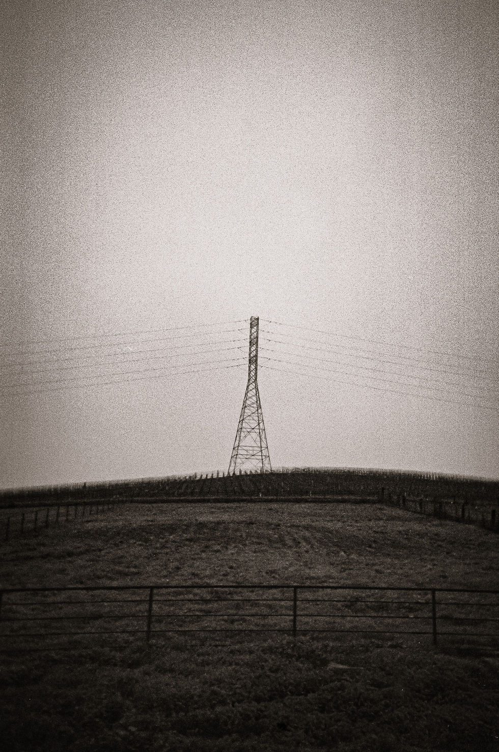 B4F706EC-3D3A-4A9D-B541-255073FC22F5_1_201_a
