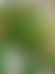 The 24 Hour Mini Break:  Bath 