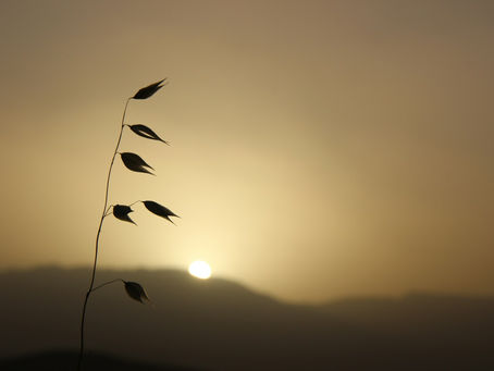 The Ultimate Guide to Affordable Locksmith Services in Salt Lake County