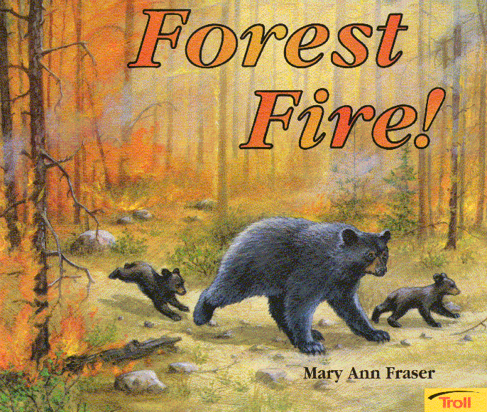 The impact of a fire on the forest and the animals that rely on it.