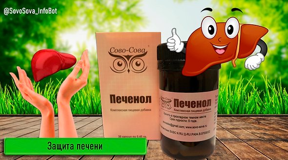 Печенол_капсулы_защита-печени.png
