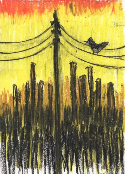 Amina Ferdous Momo - Bird On Power Lines - Oil Pastels - August 2017