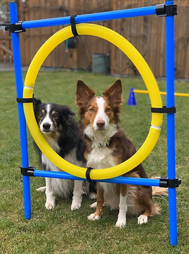 92043137_203864311063258_531017901508709