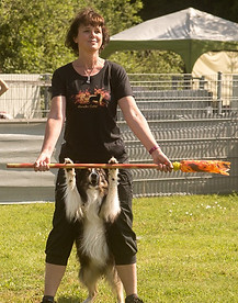 66693857_2855250057850547_58511479486577