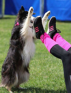 32332248_1894384560632784_26549140194748