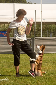 66657406_2855267464515473_55577273708167