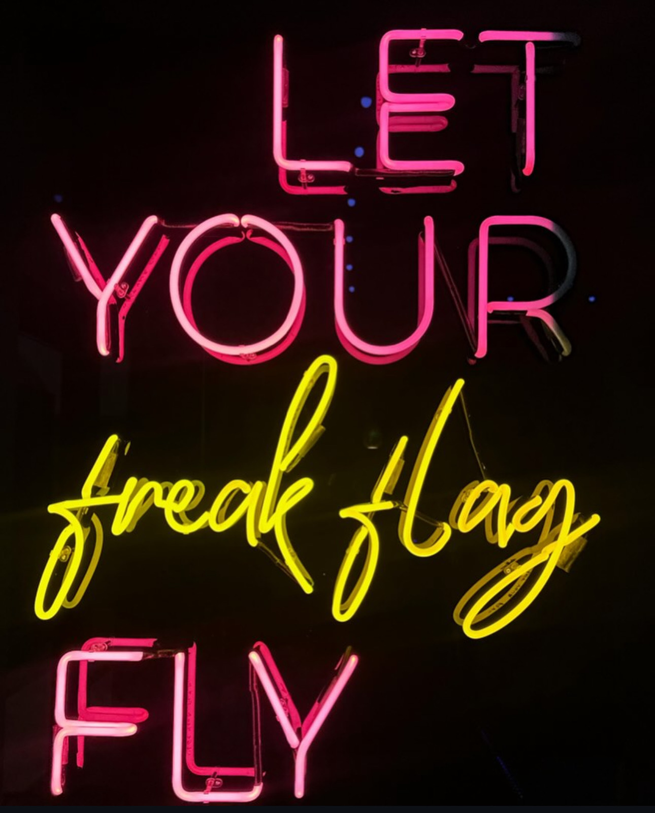 Bright pink neon sign reading “Let Your Freak Flag Fly” inside Black Swan Yoga Midtown Phoenix studio.