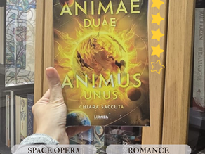 Recenqualcosa di " Animae duae, animus unus" di Chiara Saccuta