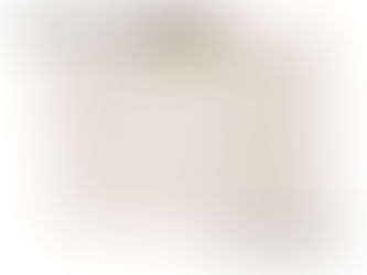 国会決議の要請に有識者会議が｢白紙回答」というスキャンダル