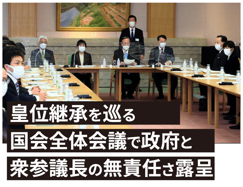皇位継承 国会全体会議