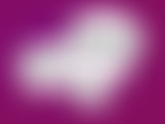 旧宮家系男性の発言