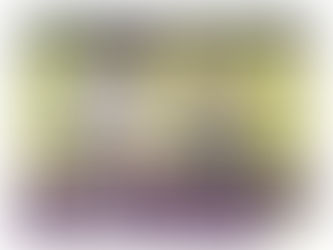 悠仁親王殿下ご誕生の時点で既に警鐘は鳴らされていた