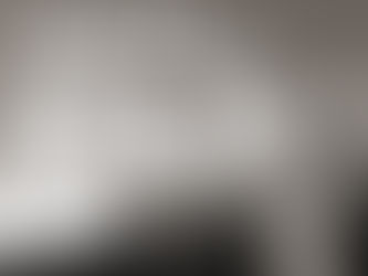 天皇は日本においてデモクラシーを支える最後の砦という指摘