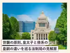 世襲の原則、皇太子と傍系の皇嗣の違いを巡る法制局の見解