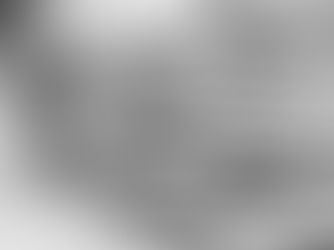 言論サイトiRONNAほか