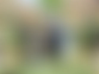 天皇陛下の地方へのお出まし