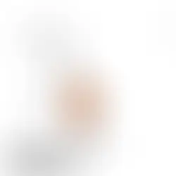 仮説