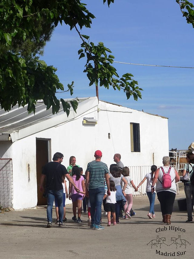 Jornada de Puertas Abiertas Hípica