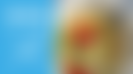 Chicken & Orzo Veggie Soup | Recipes on the Road