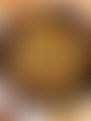 Recipes from the Road: Steak and Potatoes