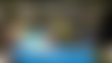 Welcome New Park: Blueway RV Village in Fort Myers, FL