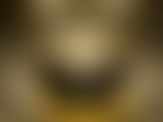 ¿Qué es un Honeypot?