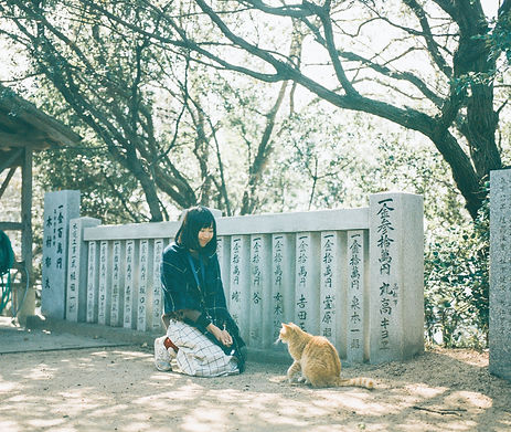 54515611_1168591619976074_78390492563914