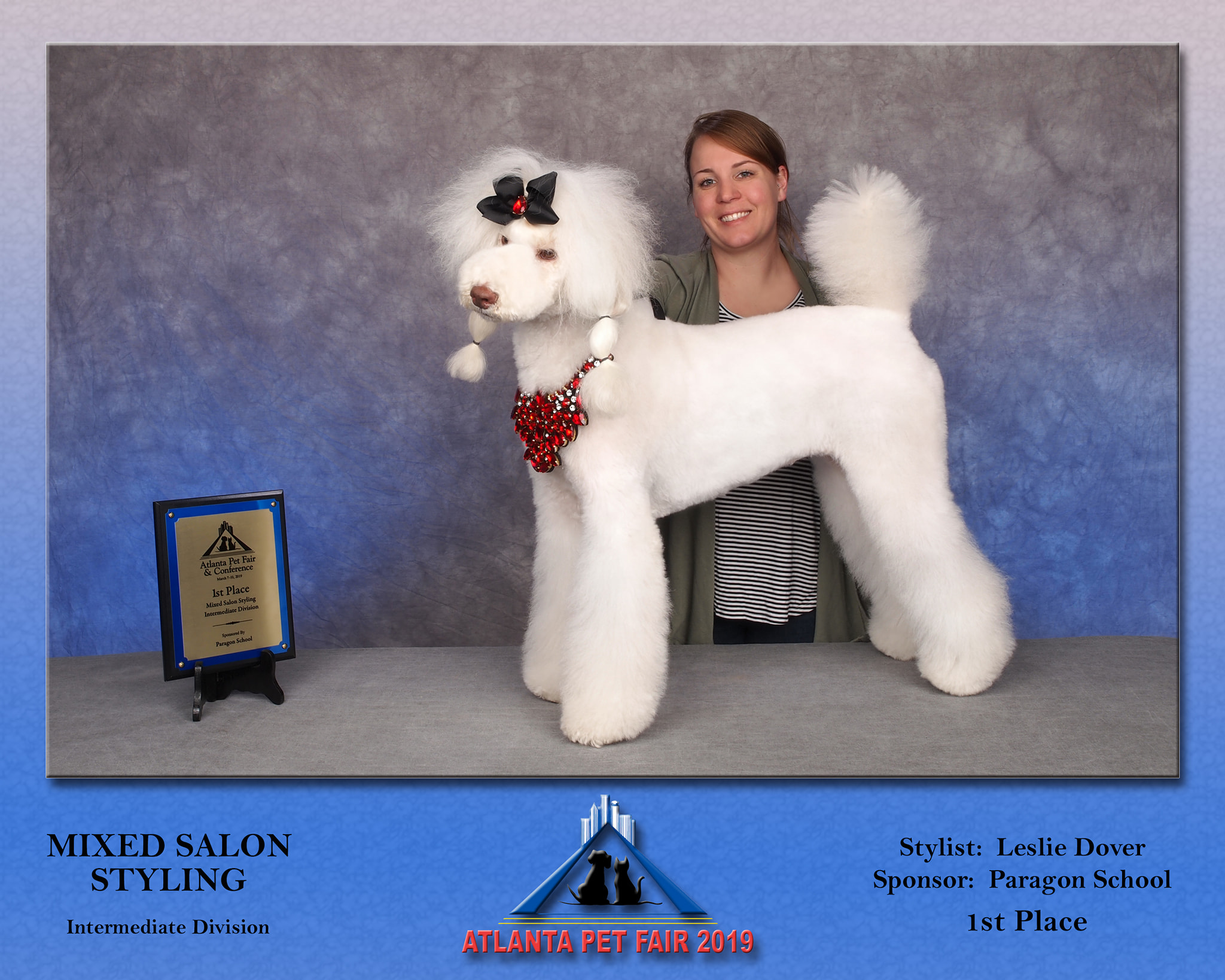 asian grooming poodle