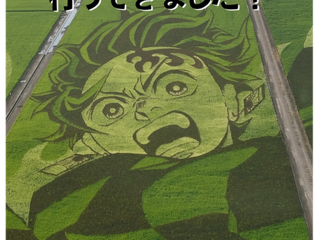 田んぼアート!行ってきました!