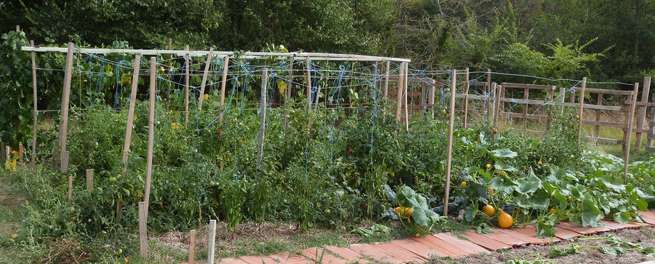 Potager 2020