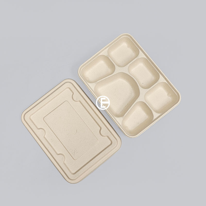 Thumbnail: Bagasses Food Container