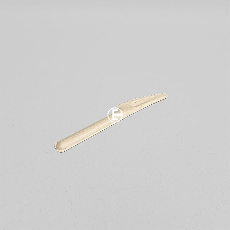 Thumbnail: Biodegradable Bagasses Pulp cutlery