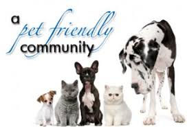 petfriendly.jpeg
