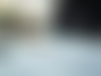 Maximize Your Assets with IP Solutions