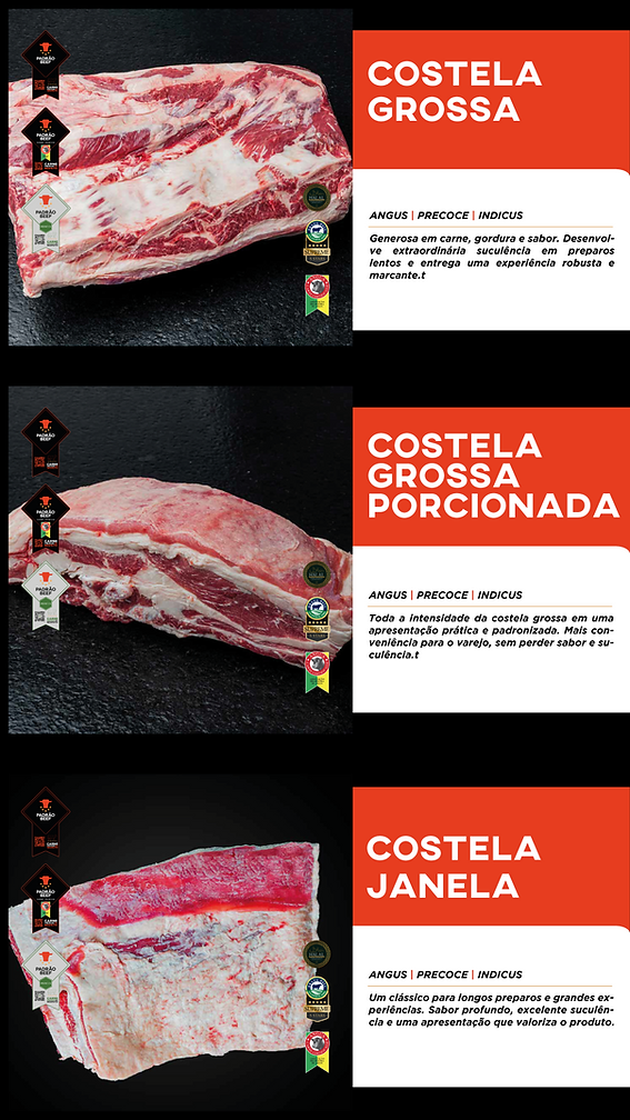 COSTELA 1.png