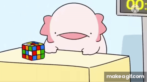 axoloti cube gif.gif