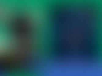 İnsanların En Gizli Hatırası, Institut Français 2025 Çeviri Ödülü Kısa Listesi'nde