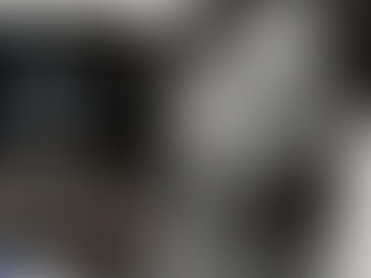 Kitapların içindekilere sahip olmanın tek yolu onları okumak değildi…