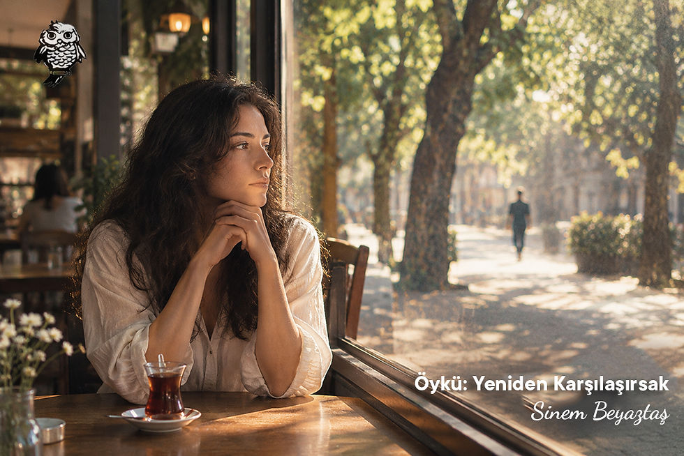 Öykü: Yeniden Karşılaşırsak