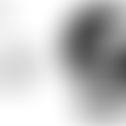 2026 Yaşar Nabi Nayır Gençlik Ödülleri başvuruları başladı