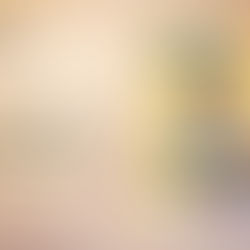 Notos'un yeni sayısı: Otokurmaca - Benlik Kurgusu Olarak Edebiyat, çıktı