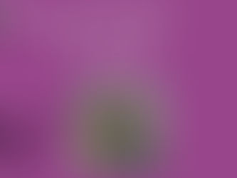 Turnalar dergisinin 101. sayısı çıktı