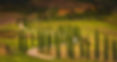 Crete Senesi_DEG4428.jpg