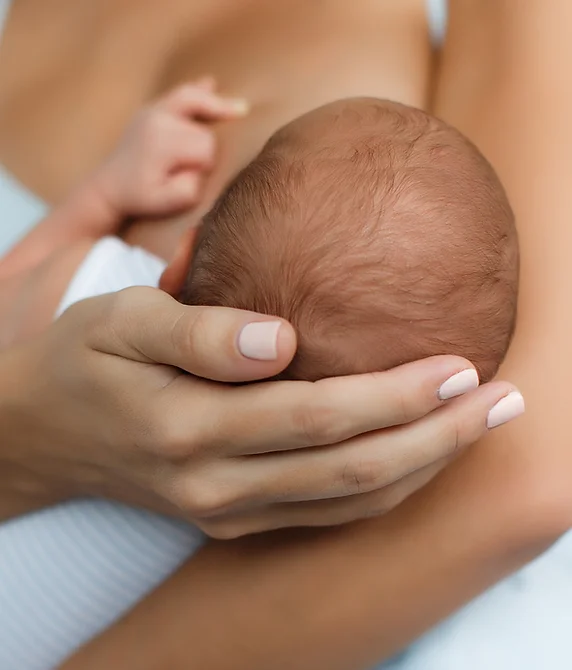 Nursing newborn baby