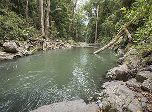 Photo of activity